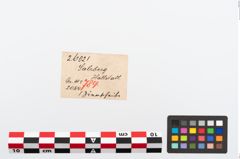 Etikett zu Bronzeriemenverteilerscheibe (NHMW-PRAE-026021)